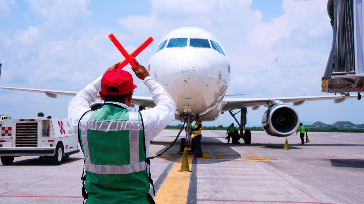 Mascotas en avión