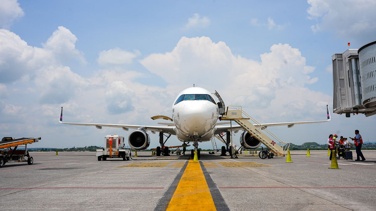 Mascotas en avión
