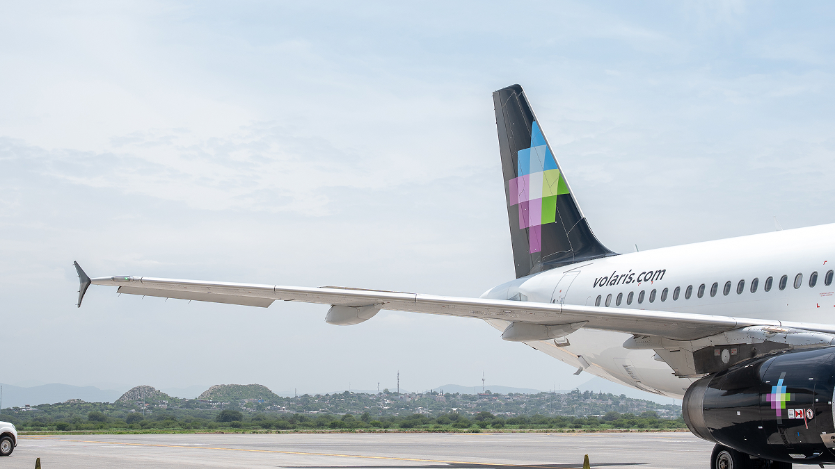 Mascotas en avión