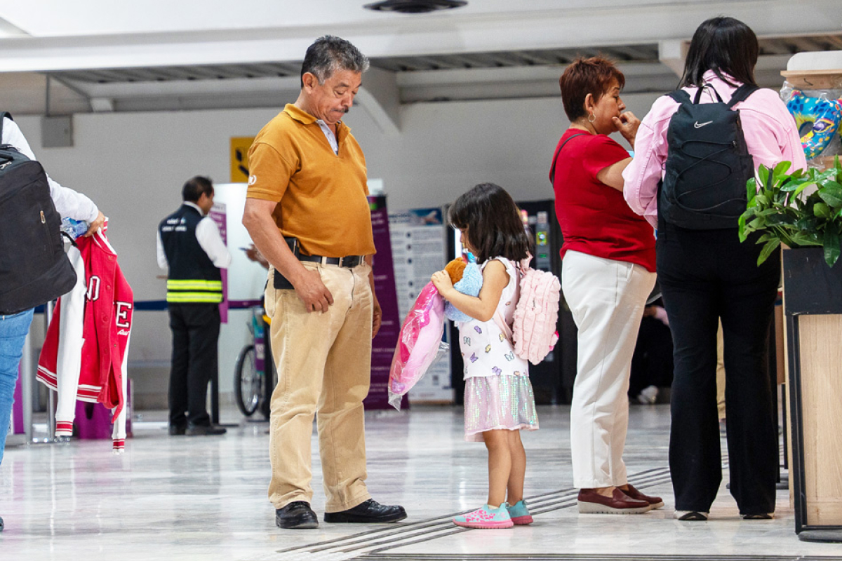 Mascotas en avión