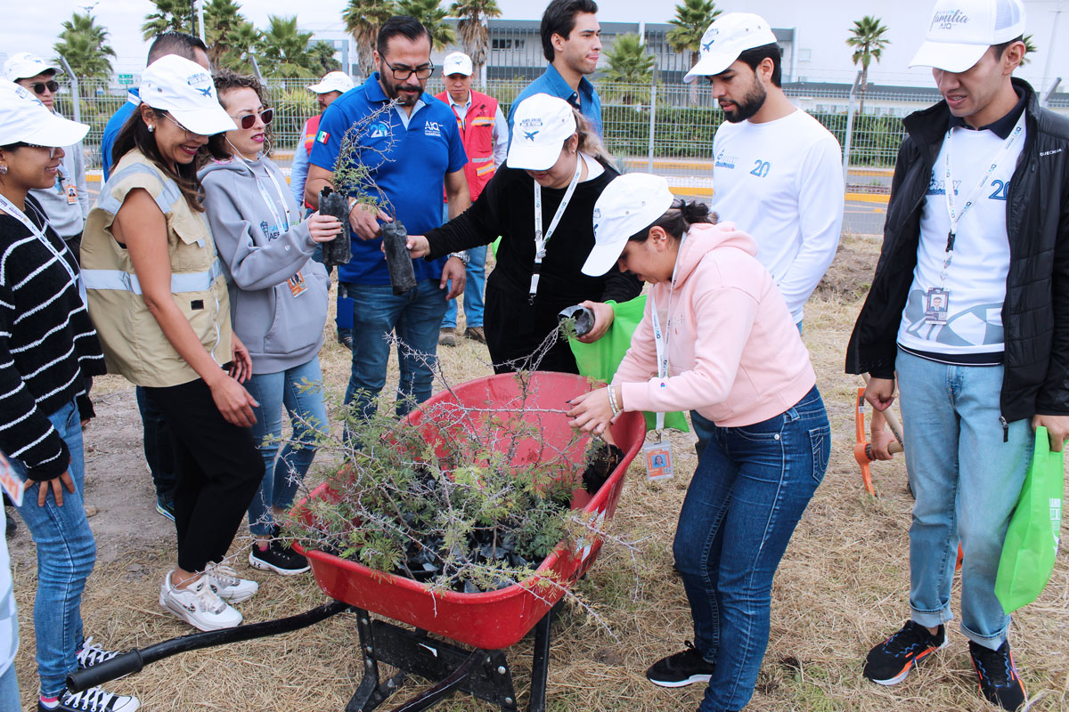 Reforestación AIQ