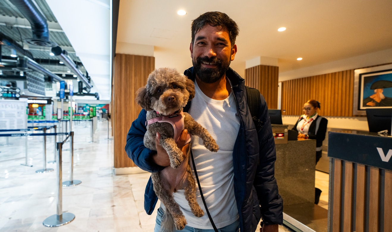 Mascotas en avión